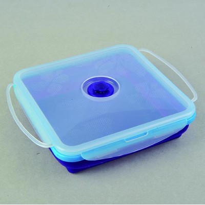 Produce New Style Practical Capsule Shape Silicone Lunch Box